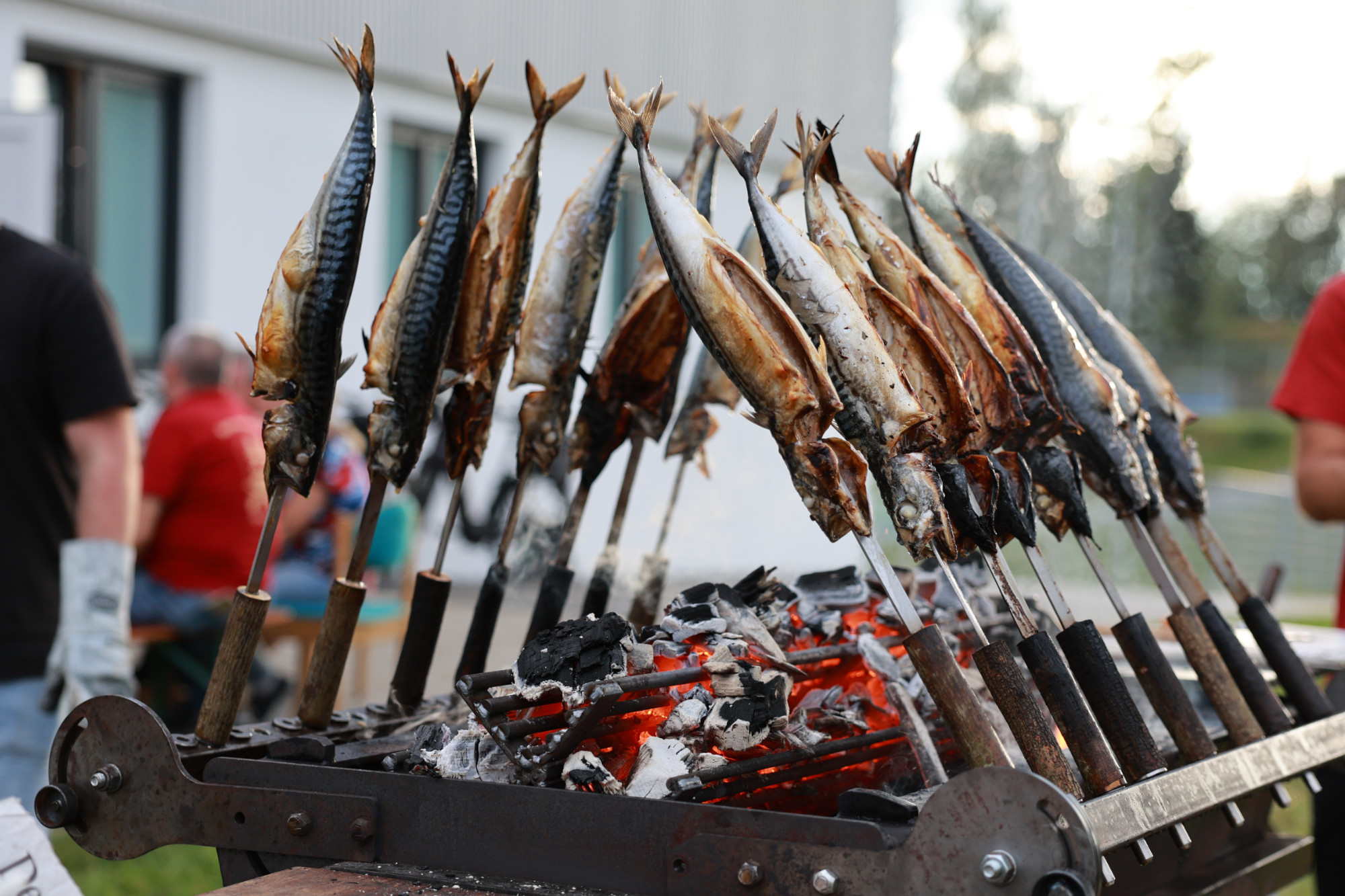 Steckerfisch grillen bei den Bayerwaldschütezen Eging